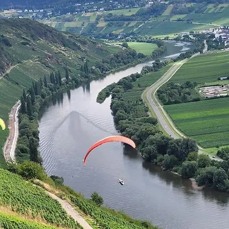 Willi's Moselschloesschen ノイマゲン・ダオン