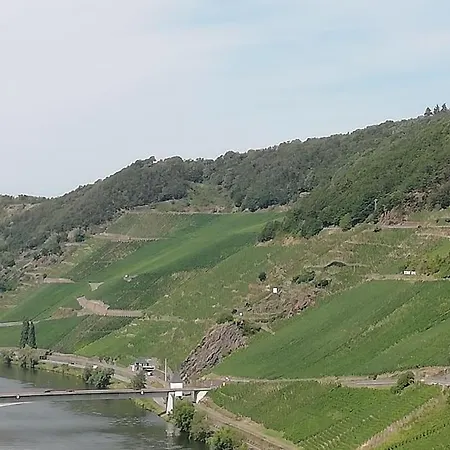 Willi's Moselschloesschen نيوماغين-دهرون