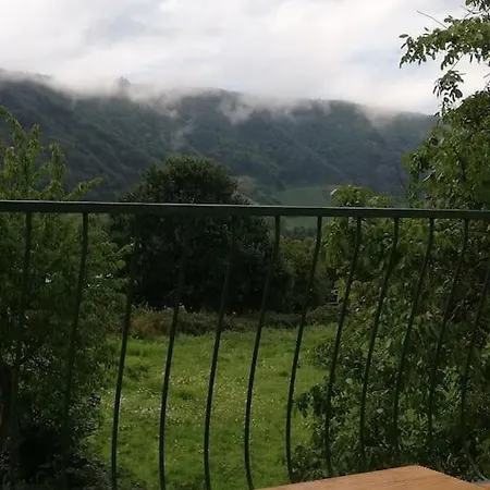 Willi's Moselschloesschen Ferienhaus Neumagen-Dhron