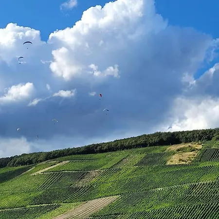 Willi's Moselschloesschen 別荘 *