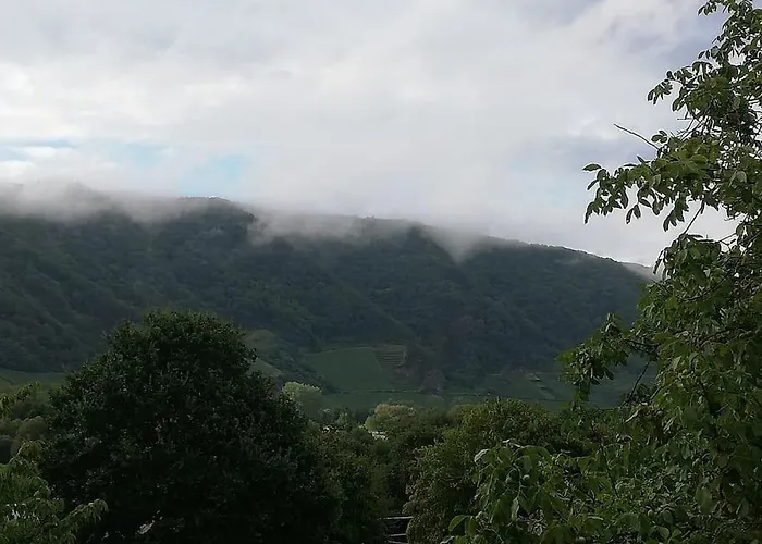 Holiday home Willi's Moselschloesschen Neumagen-Dhron