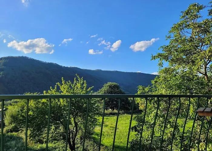 Holiday home Willi's Moselschloesschen *