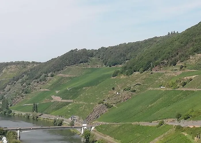 Willi's Moselschloesschen Neumagen-Dhron