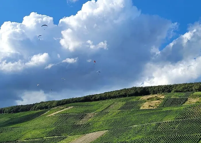 Willi's Moselschloesschen Holiday home *